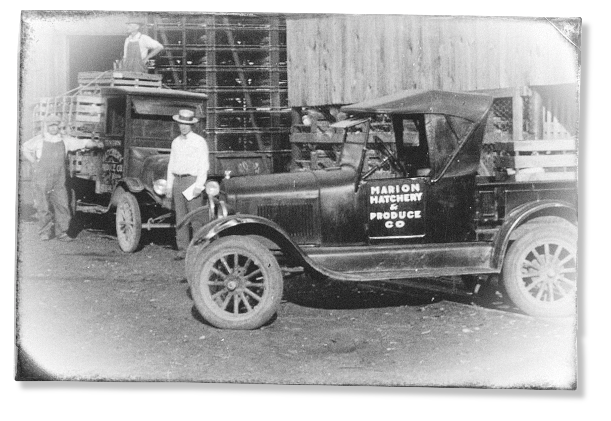 vintage picture marion hatchery with model T vehicles and workers